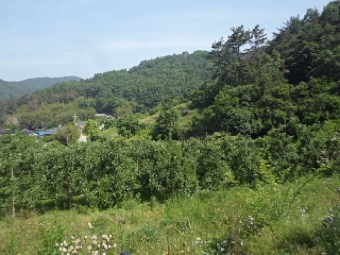 동산리1027 전경