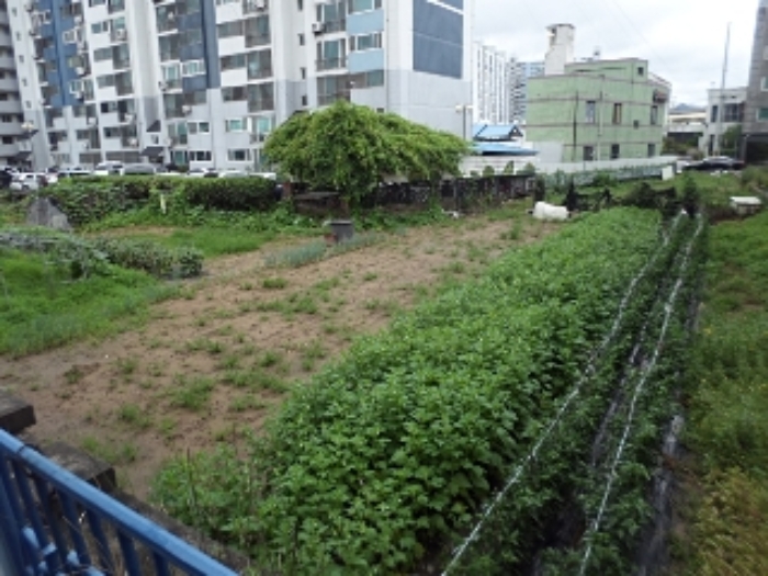 본건 전경