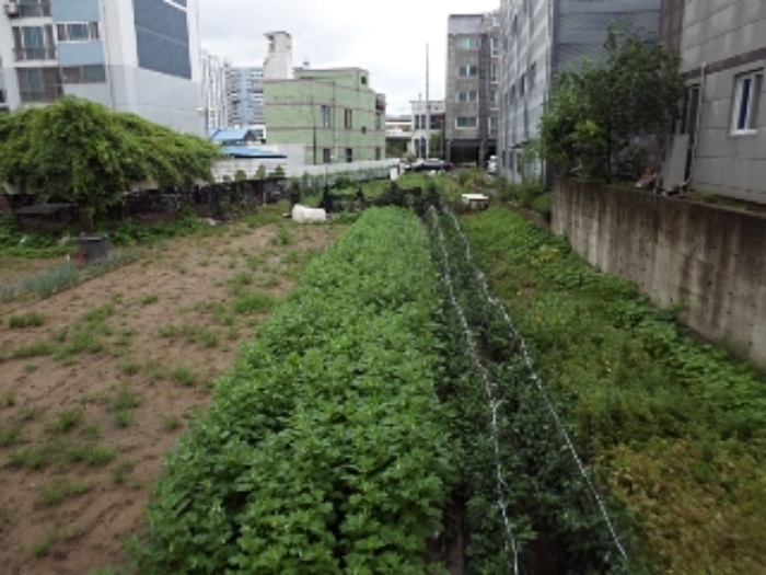 본건 전경