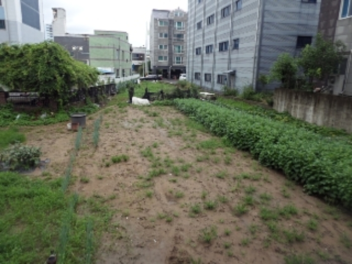 본건 전경