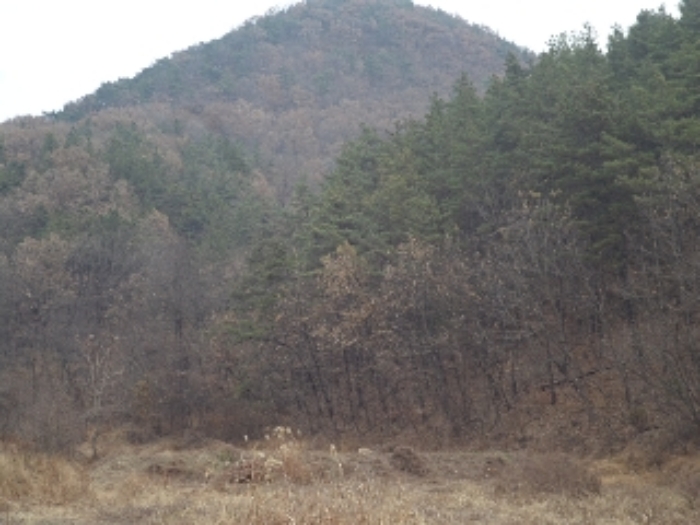 선소리603외 전경