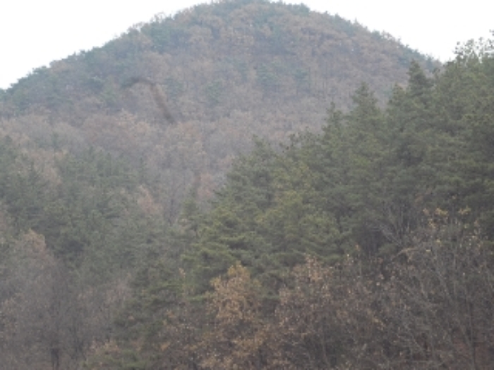 선소리603외 전경