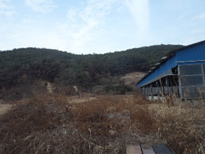 선소리133-6외 전경