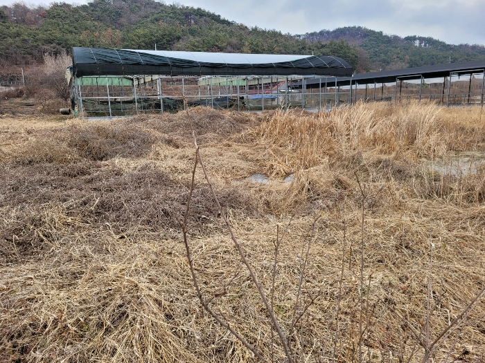 본건 기호 (2)-(5) 전경