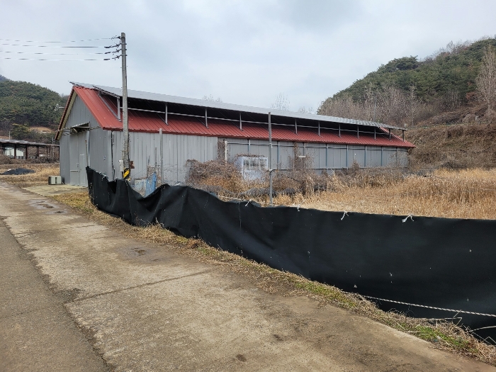 본건 기호 (8) 전경