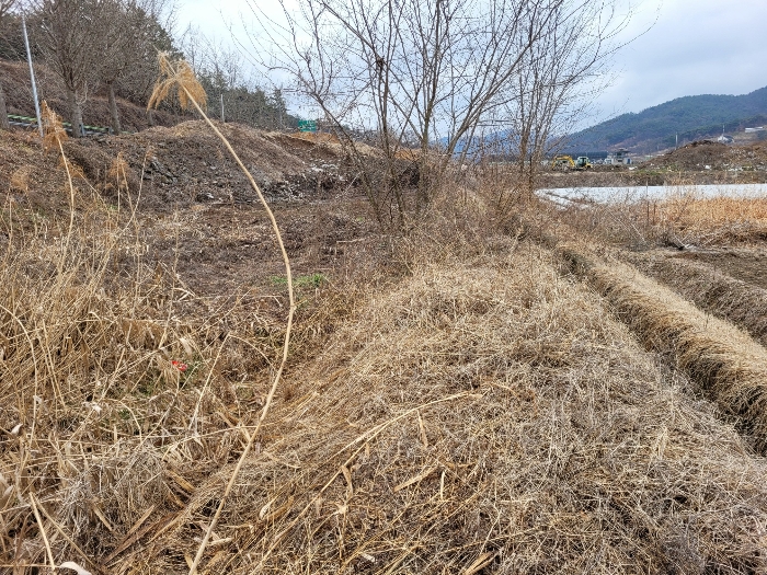 본건 기호 (29) 전경