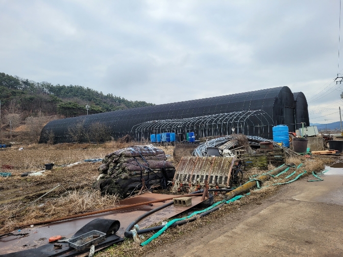 본건 기호 (20) 전경 및 지상 비닐하우스(창고)