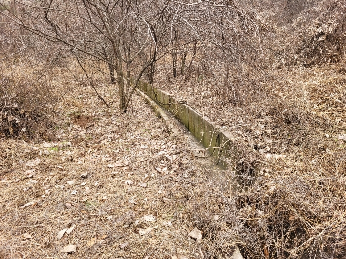 본건 기호 (22) 전경