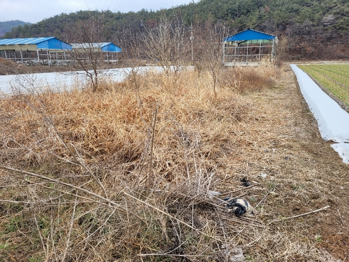 본건 기호 (14) 전경