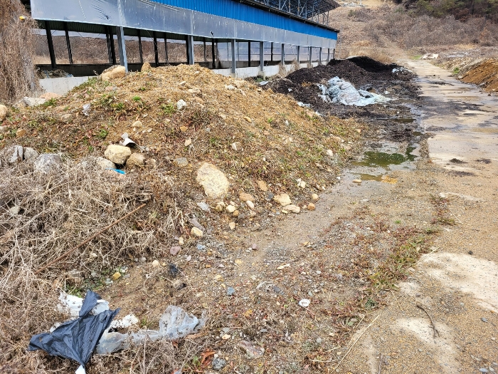본건 기호 (10)-(12) 전경