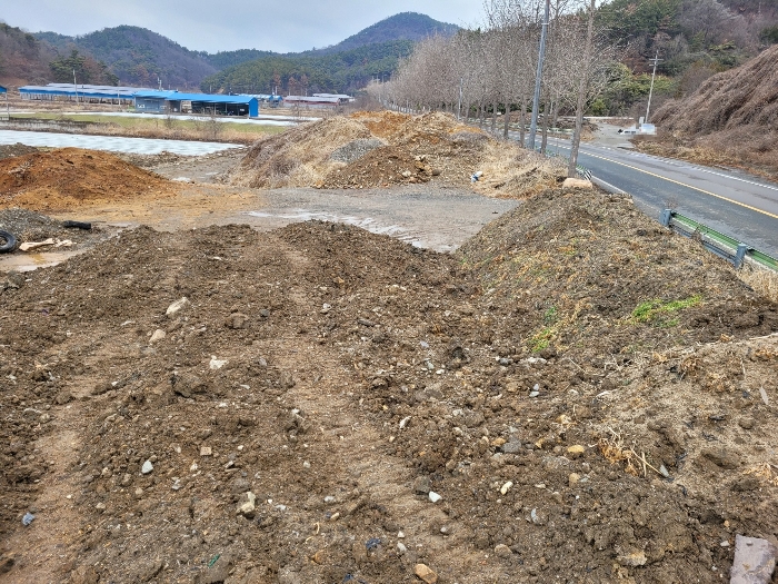 본건 기호 (31) 전경