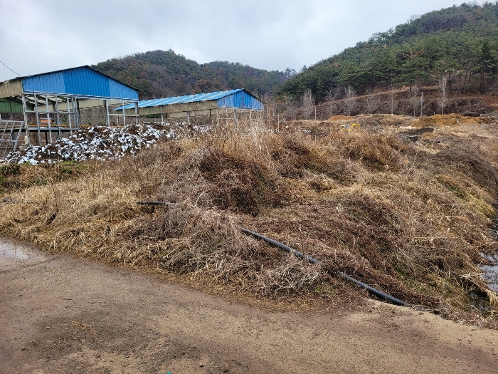 본건 기호 (19) 전경