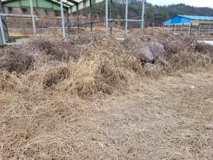 본건 기호 (14) 전경