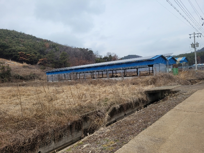 본건 기호 (10)-(12) 전경