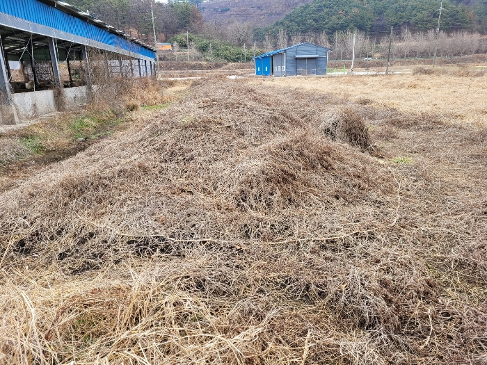 본건 기호 (10)-(12) 전경