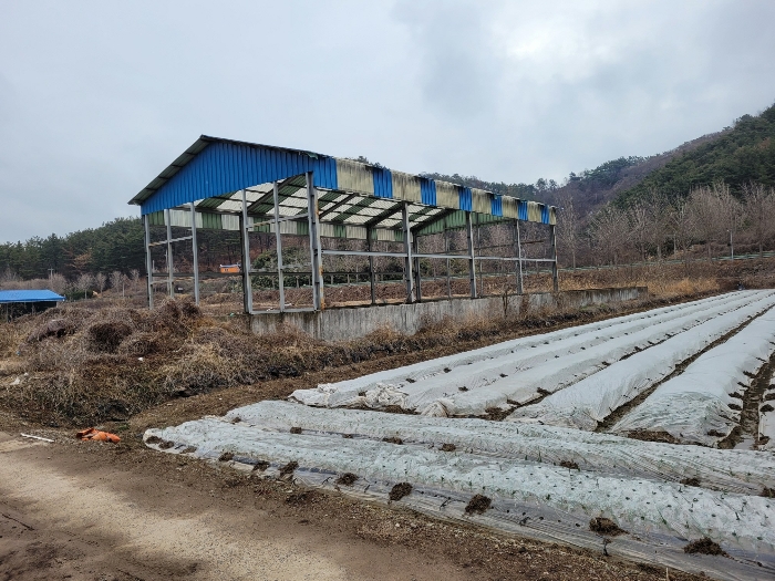 본건 기호 (14) 전경