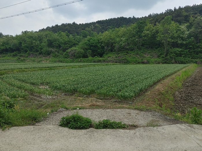 【 본 건 전 경 】