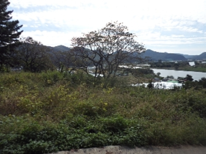 본건 전경