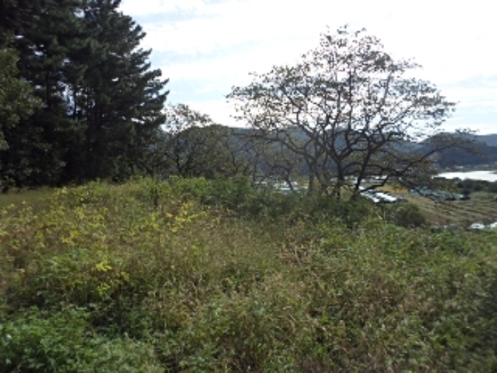 본건 전경