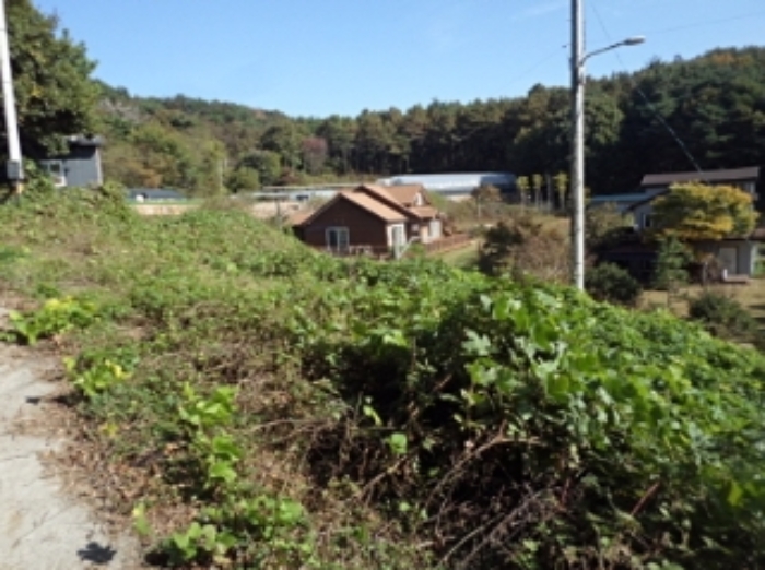 행곡리220 전경