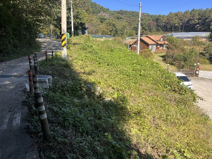 【 본 건 전 경 : 기호 ① 】