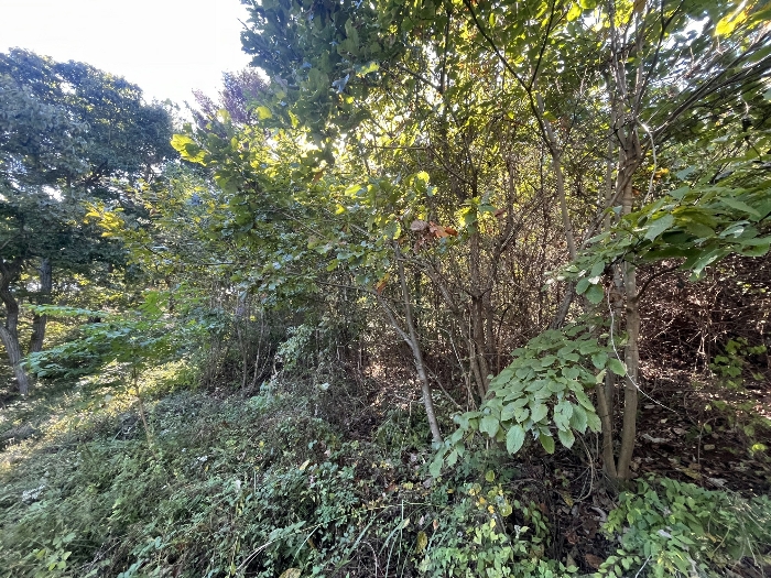【 본 건 전 경 : 기호 ③ 】