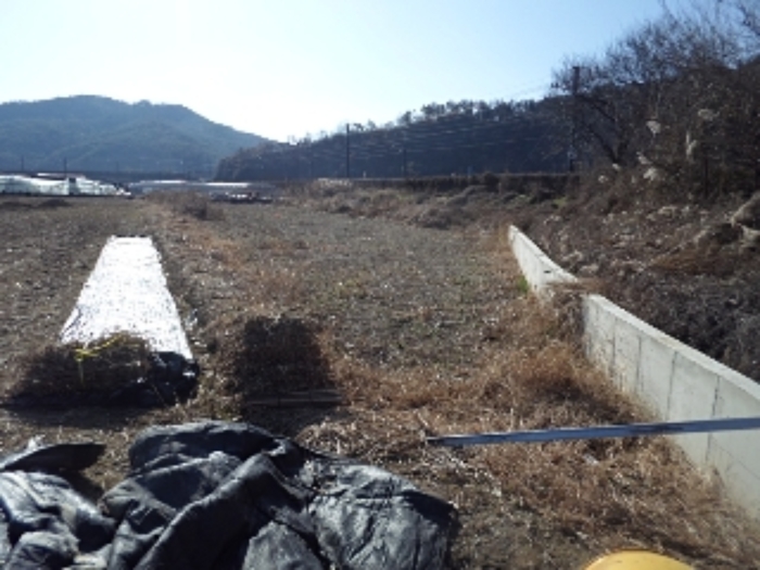 본건 전경