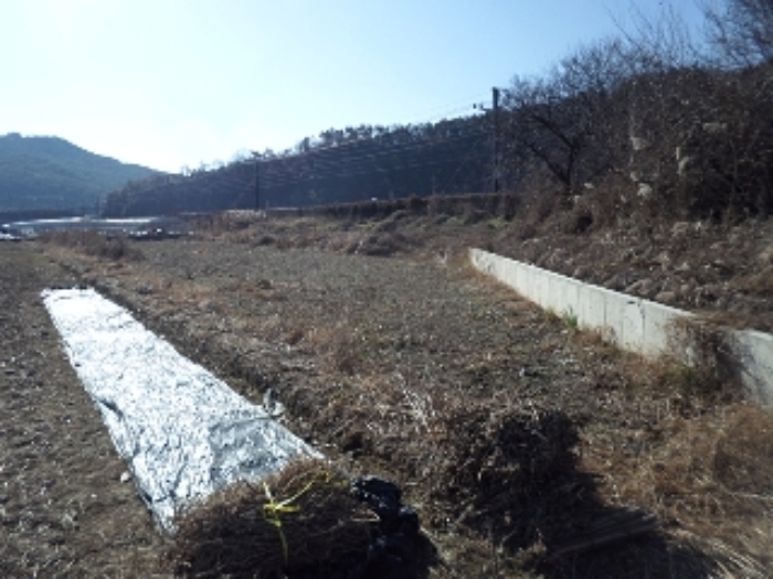 본건 전경