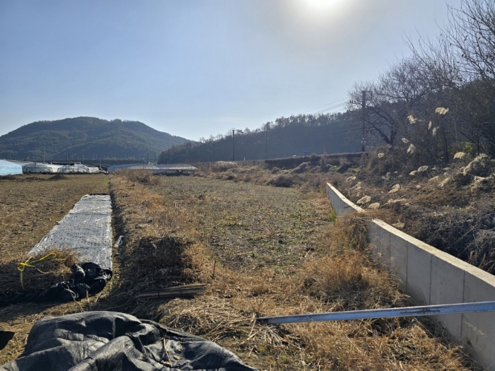 본건전경