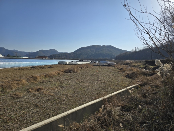본건전경