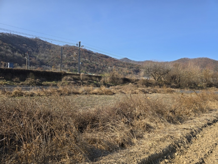 본건전경