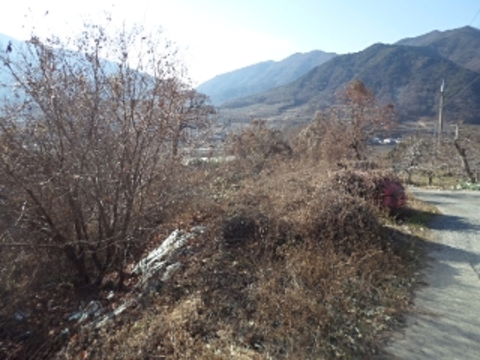 본건 전경