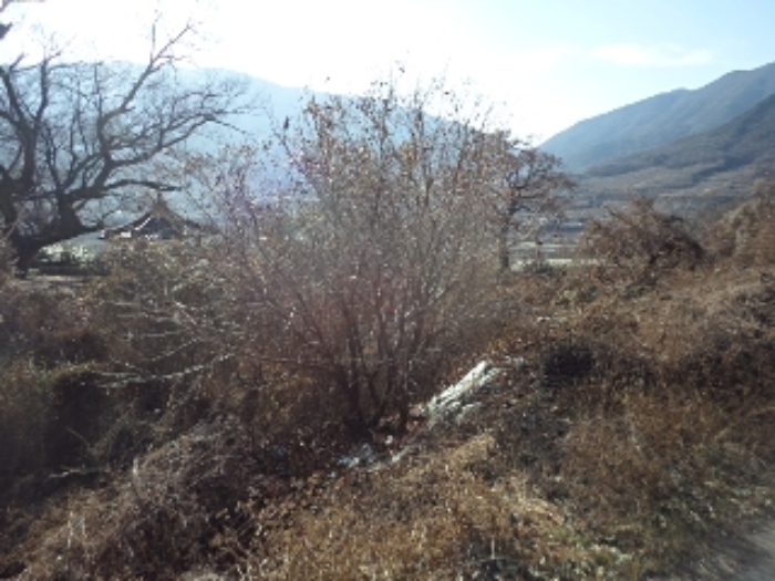 본건 전경