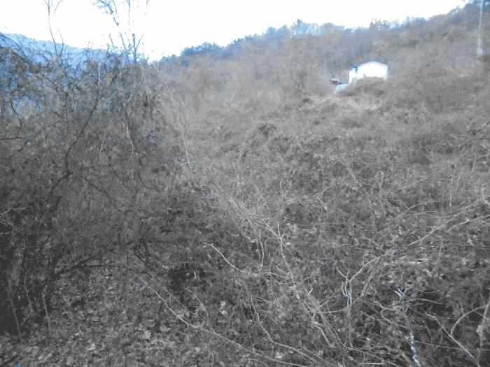 본건 토지 등 전경