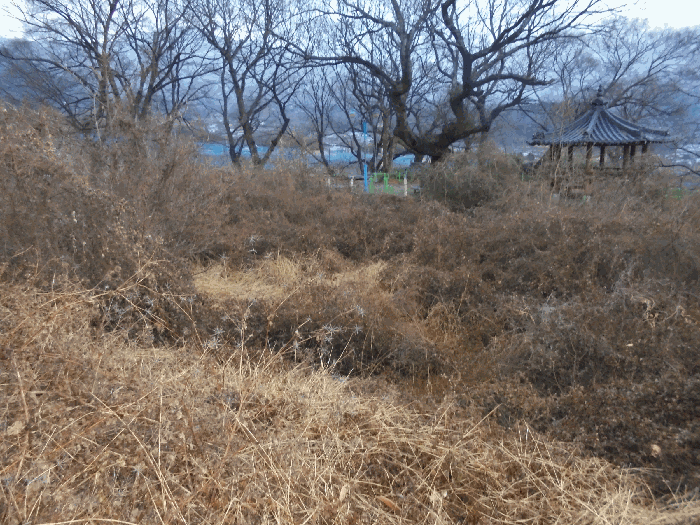 본건 토지 등 전경