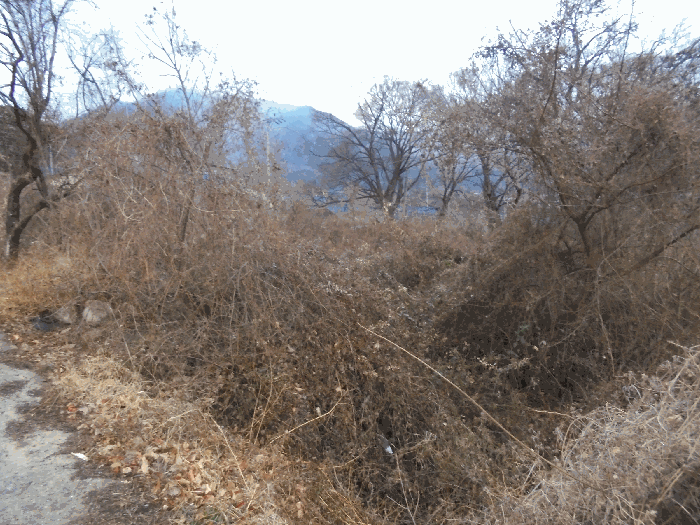 본건 토지 등 전경