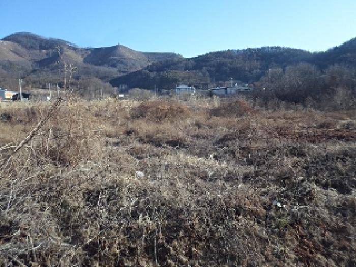 본건 전경
