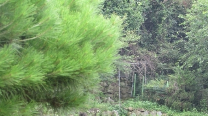 봉산리 1627-1 외 전경