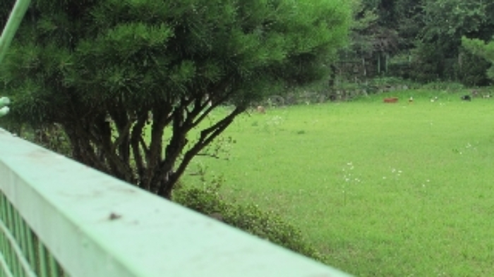 봉산리 1627외 전경