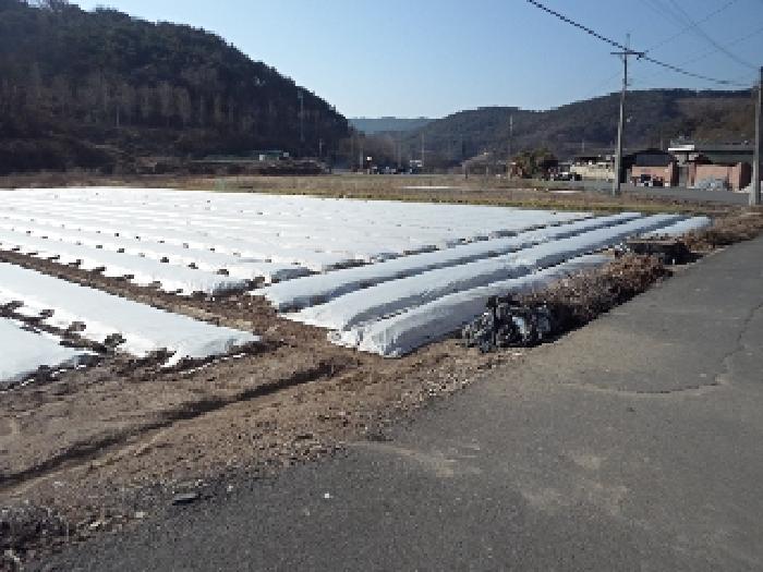 본건 전경