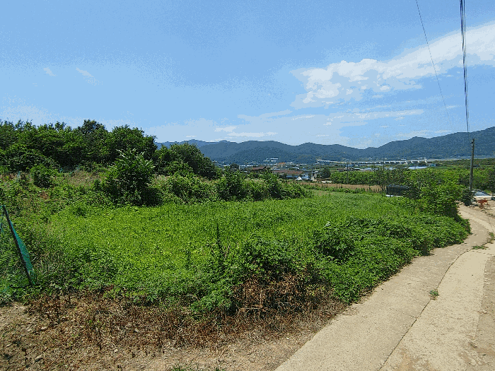 【 본 건 전 경 】