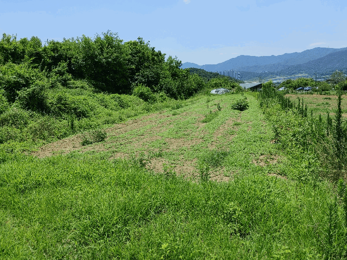 【 본 건 전 경 】
