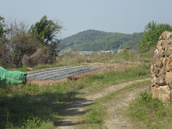 본건 전경