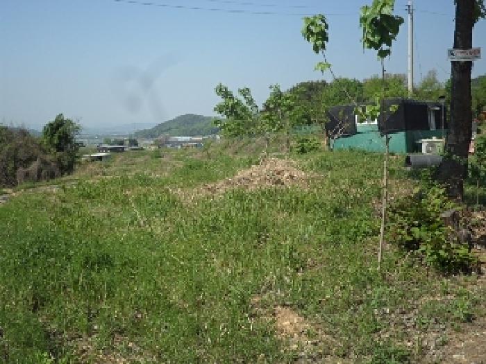 본건 전경