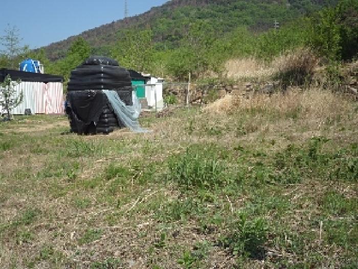 본건 전경
