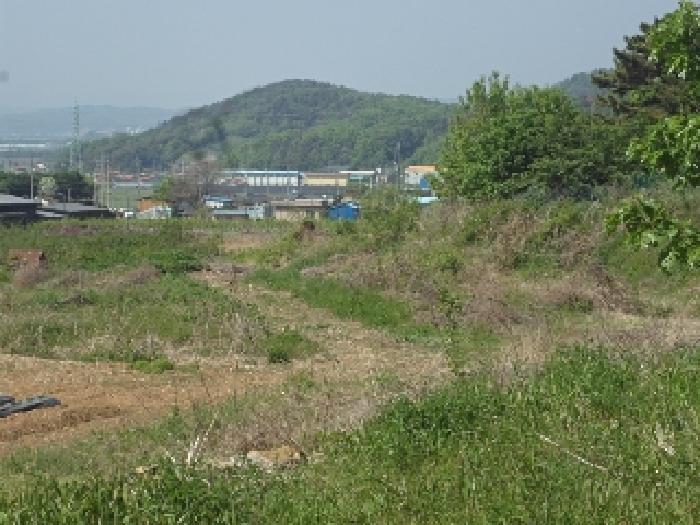 본건 전경