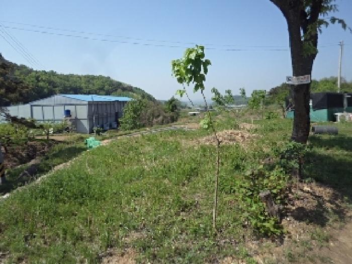 본건 전경