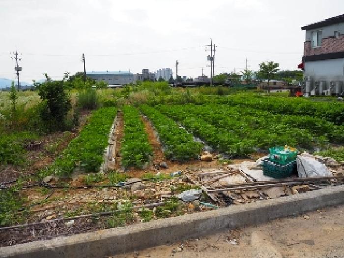 학계리 1247-30 전경