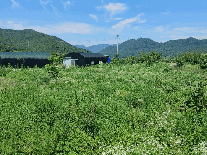 【 본 건 전 경 】