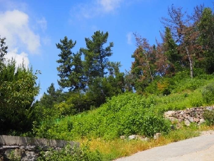 가곡동 산55-1외 전경